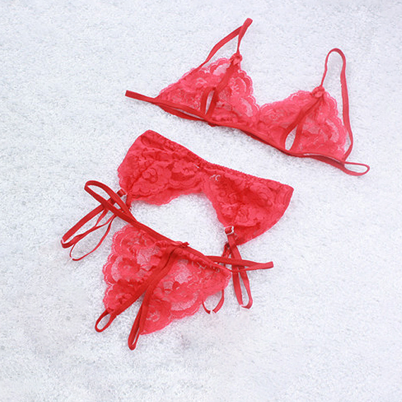 1 conjunto de lencería de enca - Sheer Mesh Bra reseña y precio